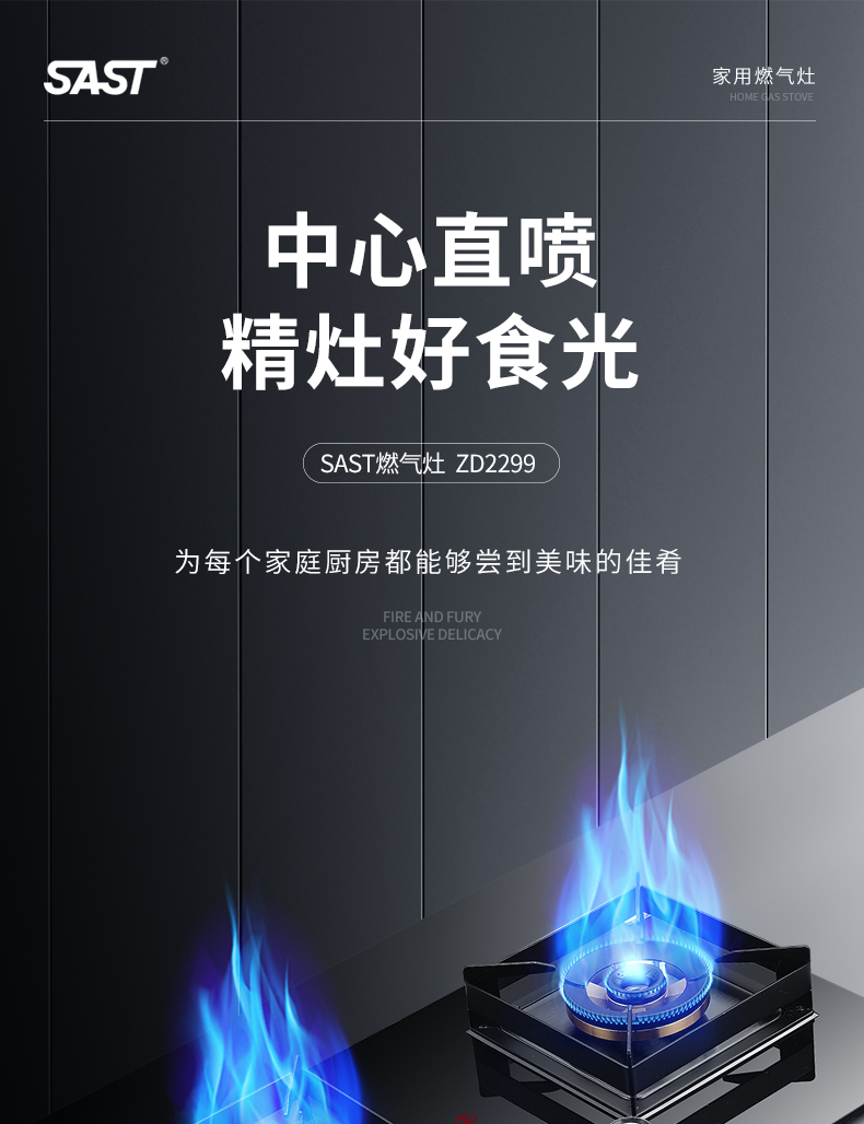 先科ZD2299燃氣灶_01.jpg